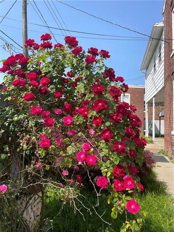 514-516 N 15th St, Allentown, PA 18102 - photo 4