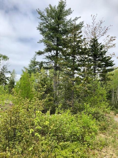 0 Route 189 unit 1441175, Whiting, ME 04652 - photo 6