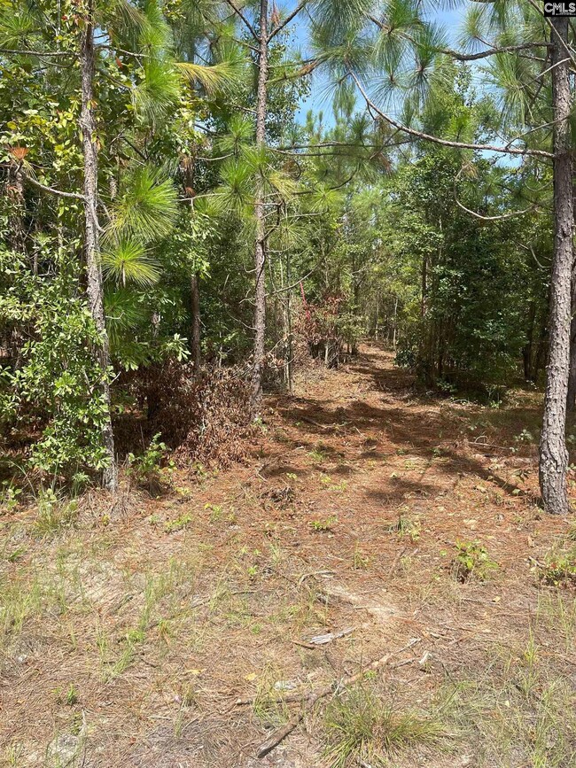 PPF 10 Payne Pond Rd unit PPF 10, Westville, SC 29175 - photo 6