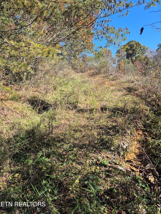 129 County Road 299, Sweetwater, TN 37874 - photo 6