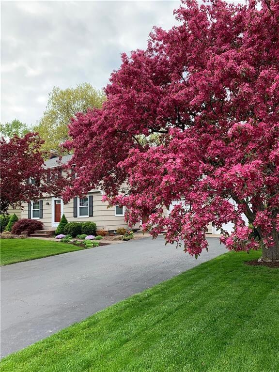 Beautiful flowering trees
