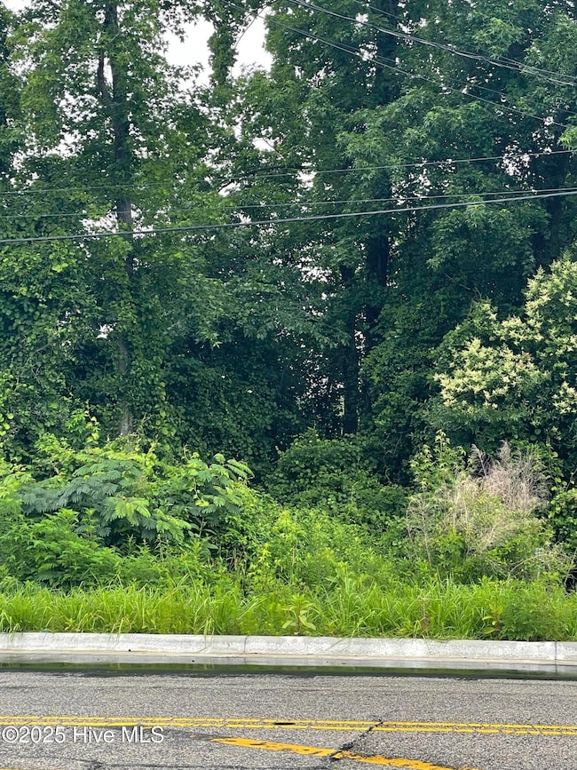 1502 Erwin Rd, Dunn, NC 28334 - photo 2