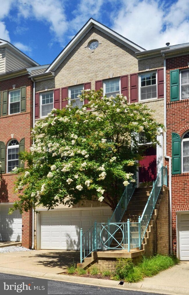 5507 Edson Ln, Rockville, MD 20852 - photo 2