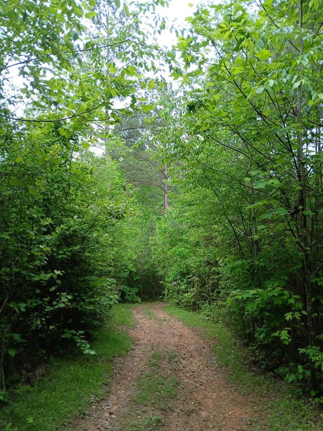 7.52 Ac. Hicks Ford Rd, Ellijay, GA 30540 - photo 4