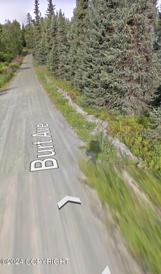 Burt Avenue. Pic 2.