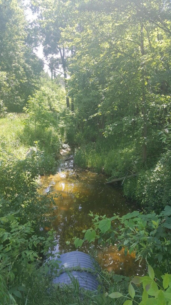 creek