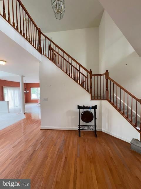 207 Margaux Cir, Newark, DE 19702 - photo 4