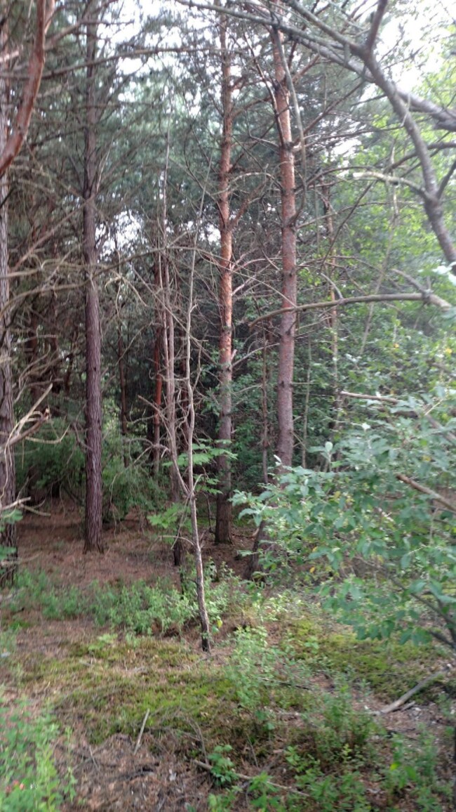 IMG_20160706_193341466