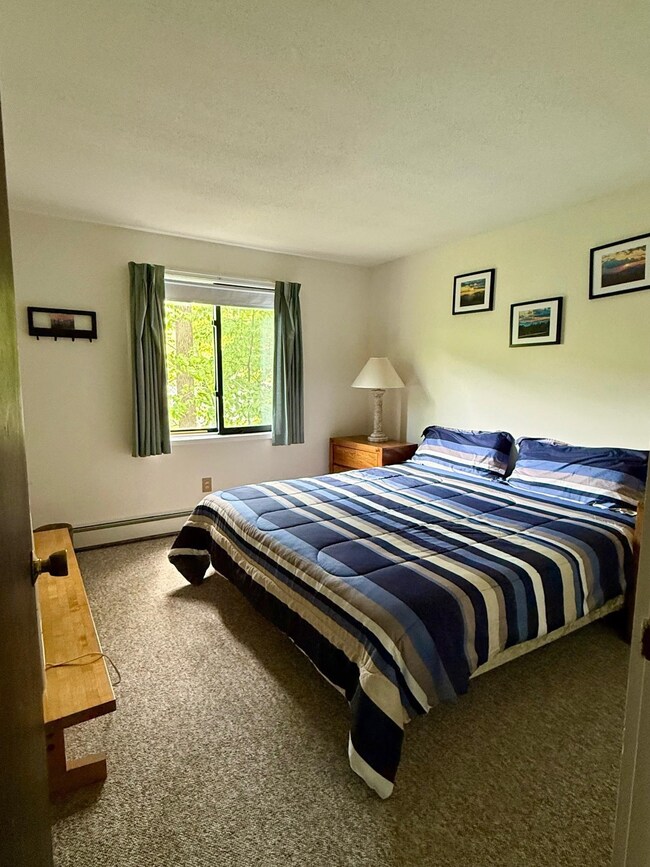 41 Whaleback Rd unit 2, Lincoln, NH 03251 - photo 4