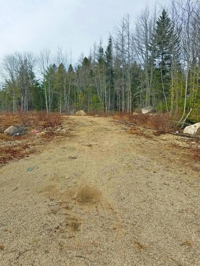 Road to property