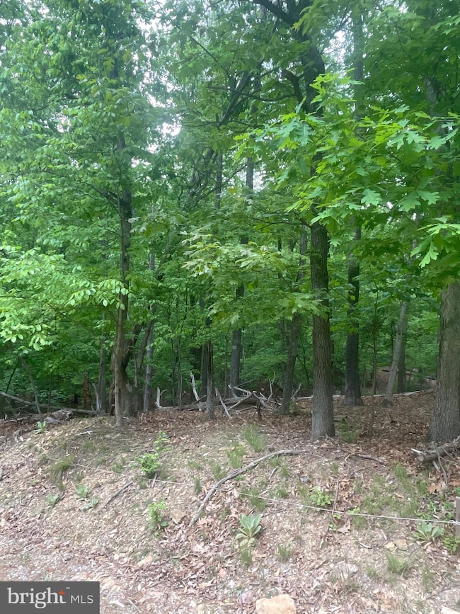 Lot 24 Maple Ln, Bluemont, VA 20135 - photo 2