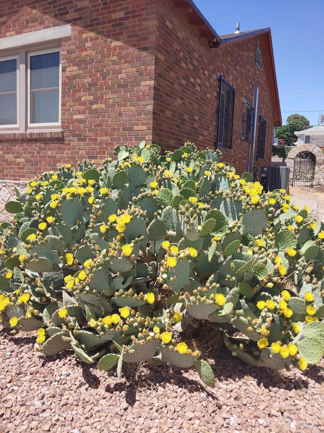 2509 Richmond Ave, El Paso, TX 79930 - photo 2