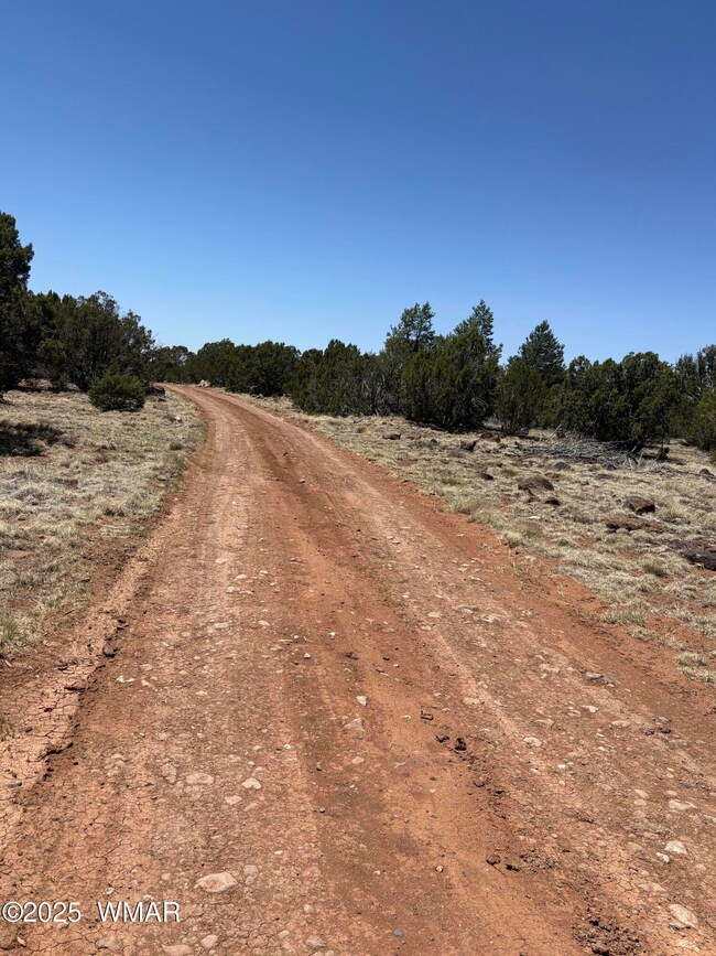Texas Road