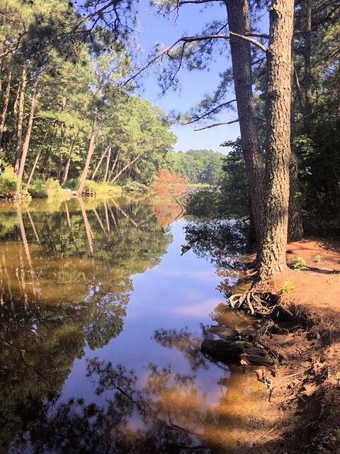 24 Pine Cove Cir unit 24/25, Belle Haven, VA 23306 - photo 3