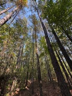 1807 N Sappa Rd, Eupora, MS 39744 - photo 2