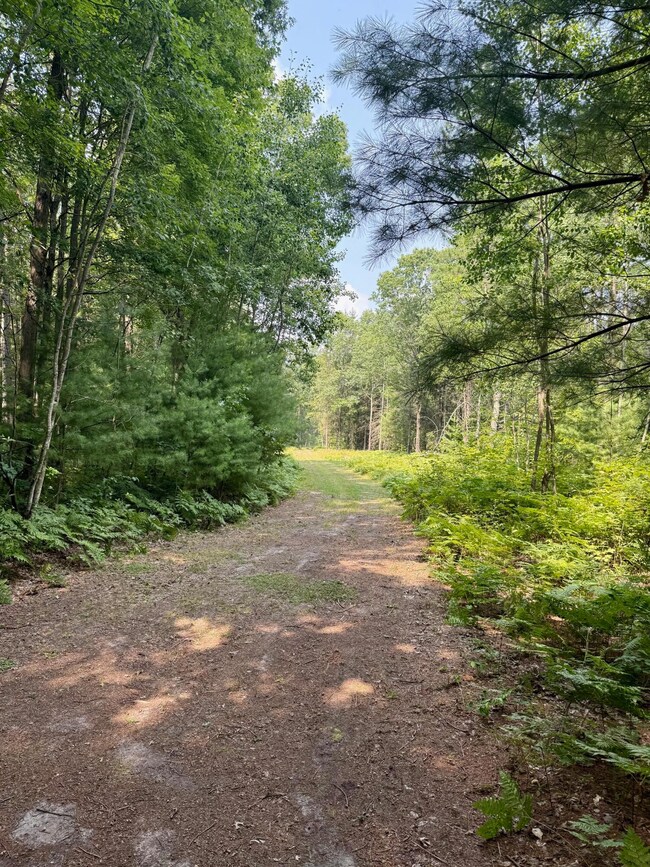 1 River Rd, Brethren, MI 49619 - photo 7