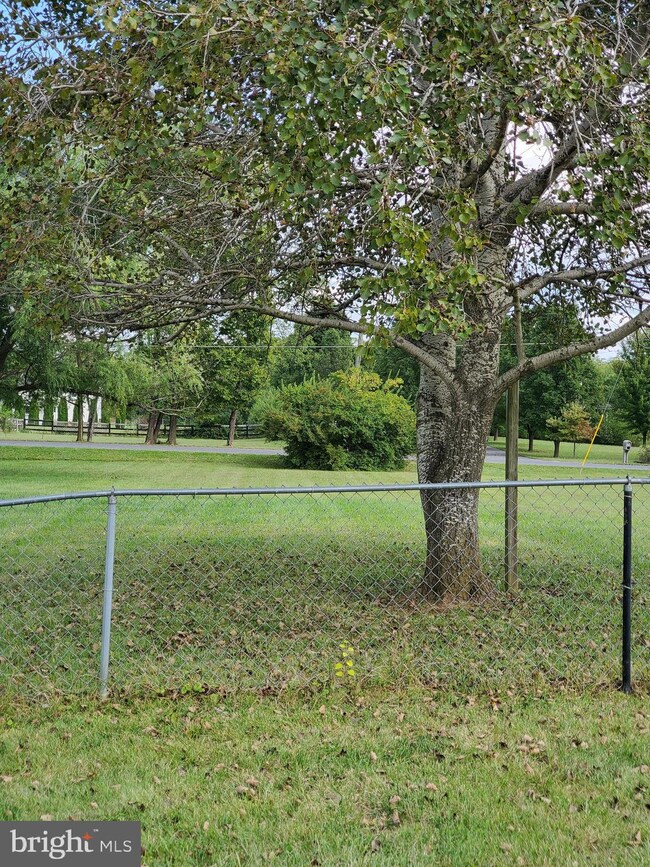 371 Ruebuck Rd, Clear Brook, VA 22624 - photo 5