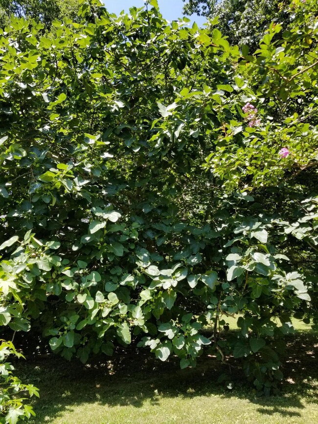 20170717_134730