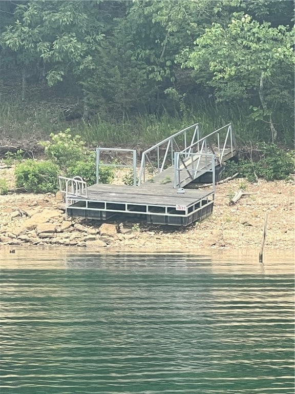 11105 Cedar Rock Rd, Garfield, AR 72732 - photo 5