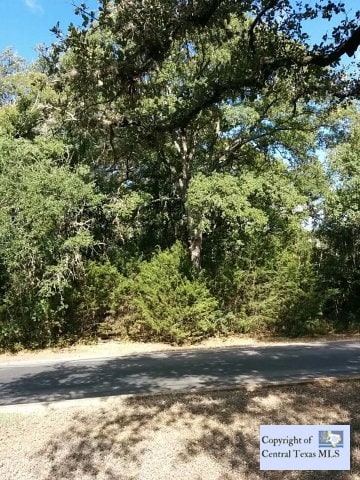 22341 Angostura Blvd, San Antonio, TX 78261 - photo 2