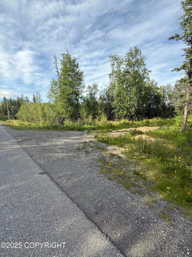 495 S Harriette St, Wasilla, AK 99654 - photo 2