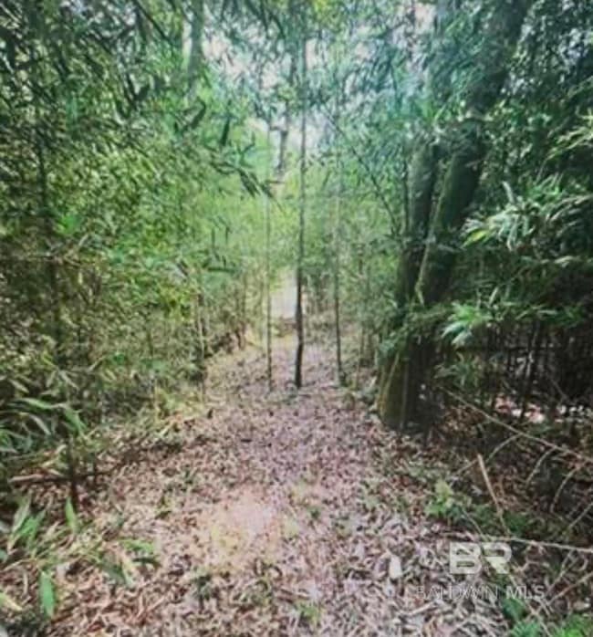 0 Woodhaven Dairy Rd W, Silverhill, AL 36576 - photo 4