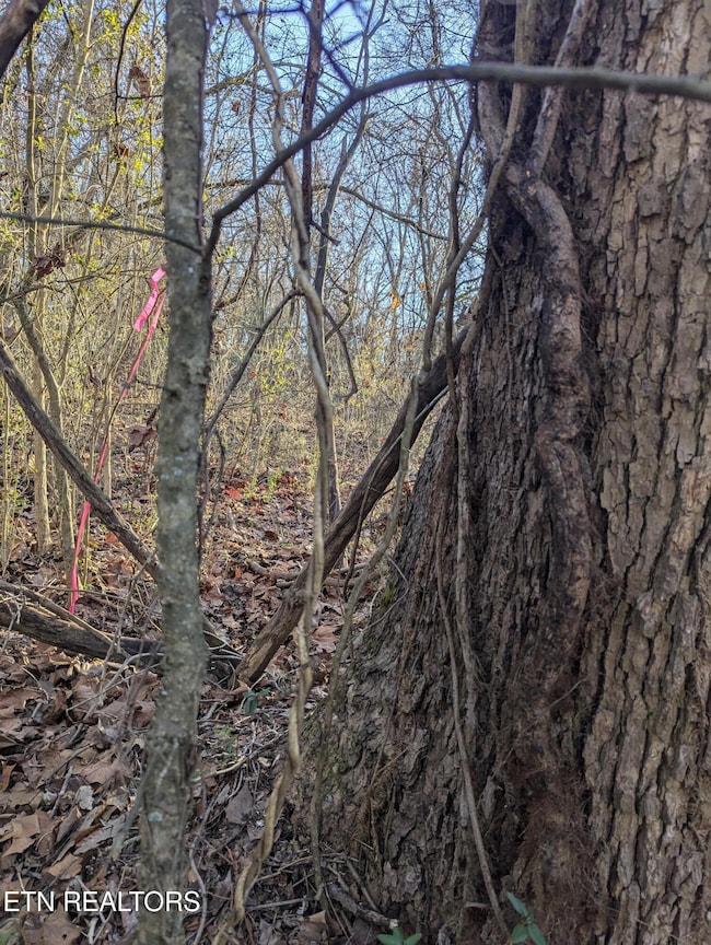 PXL_20250129_213608451