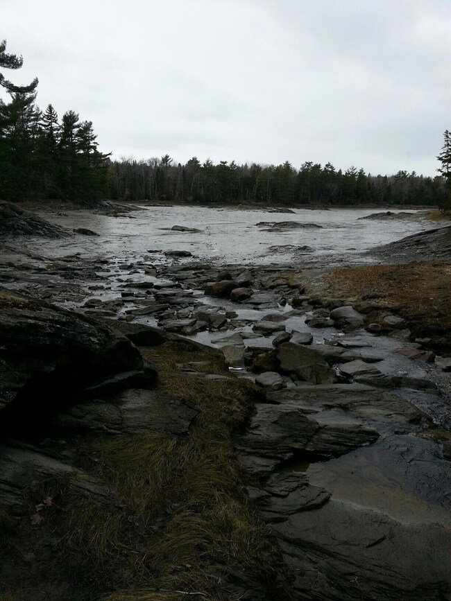 lamoinepropertybeach