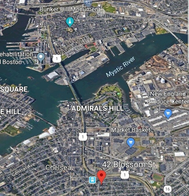 42 Blossom St, Chelsea, MA 02150 - photo 5