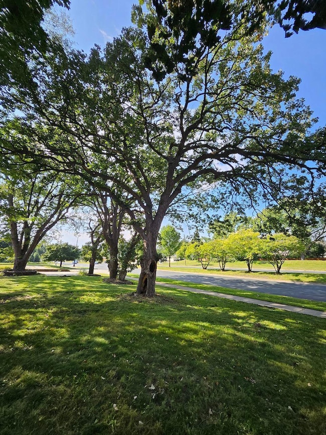 3801 69th Ave N, Minneapolis, MN 55429 - photo 3