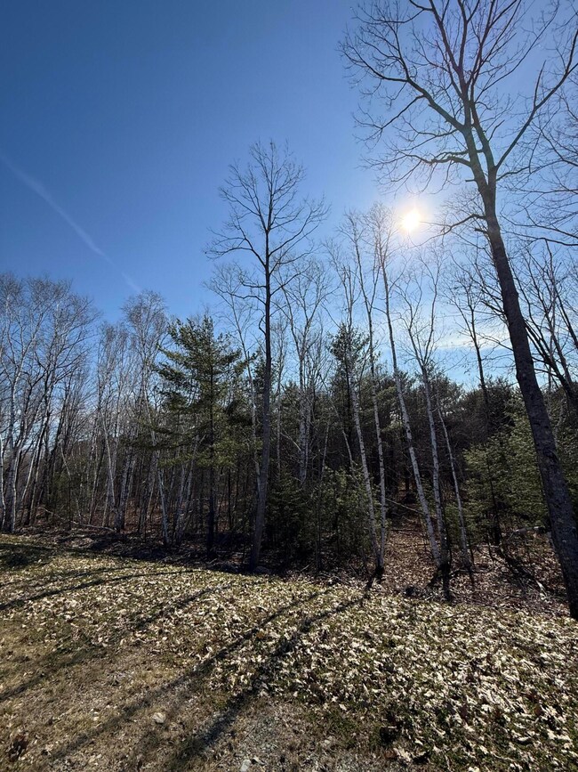 005 Finson Rd, Bangor, ME 04401 - photo 3