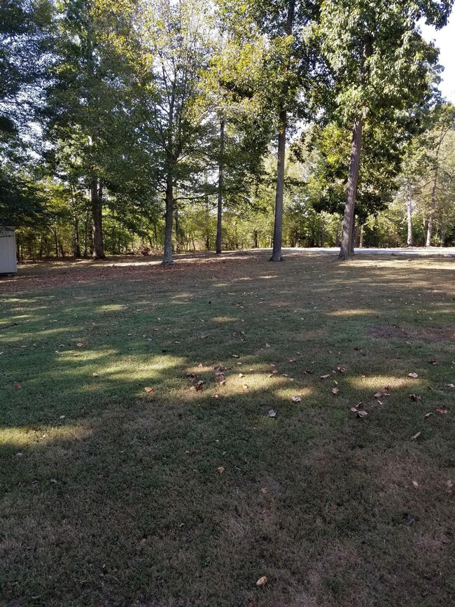 2017 Shawnee Ln, Greenbrier, TN 37073 - photo 4