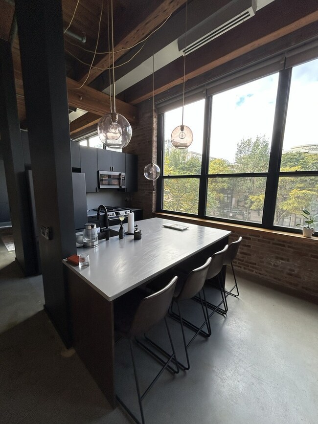 1727 S Indiana Ave unit 201, Chicago, IL 60616 - photo 4