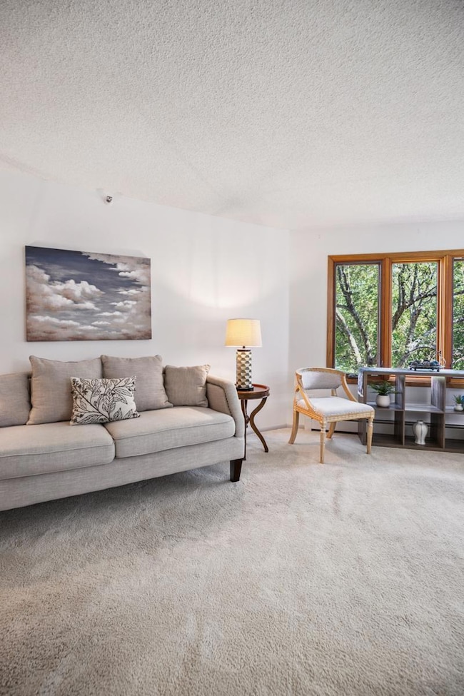 14601 Atrium Way unit 329, Minnetonka, MN 55345 - photo 5