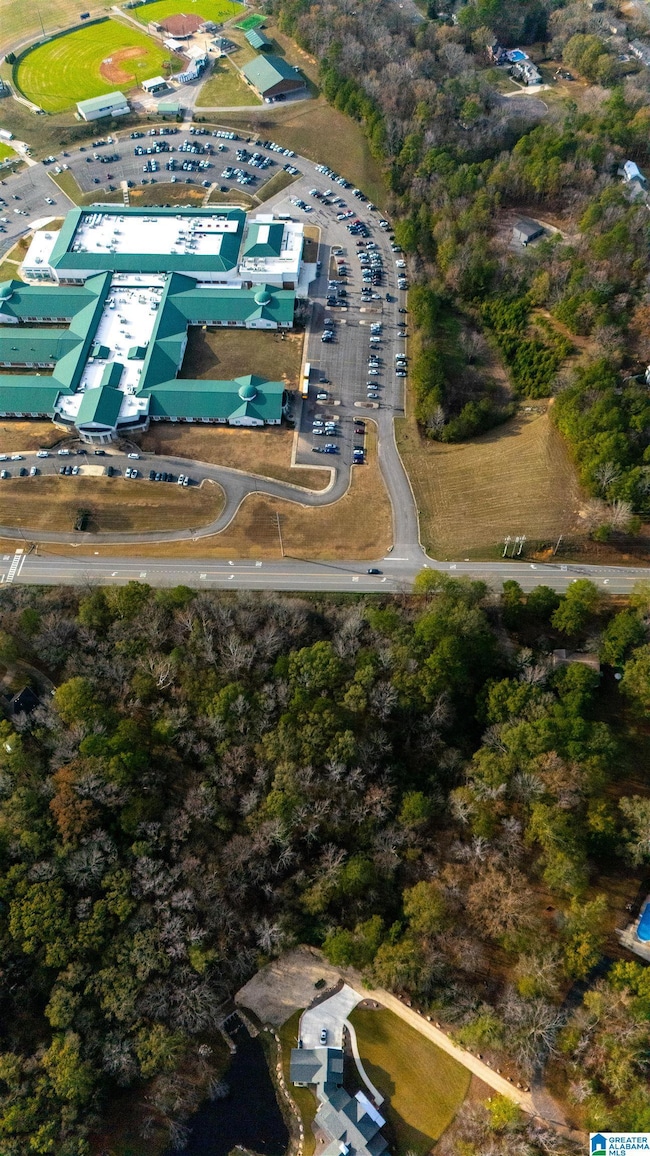 101 Caldwell Mill Rd, Birmingham, AL 35244 - photo 6