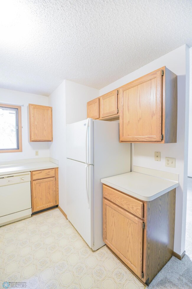 FeeneytownhomeCoonRapidsDSC_0742.jpg
