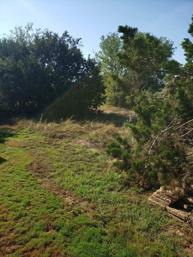 27124 Whispering Meadow, Whitney, TX 76692 - photo 4