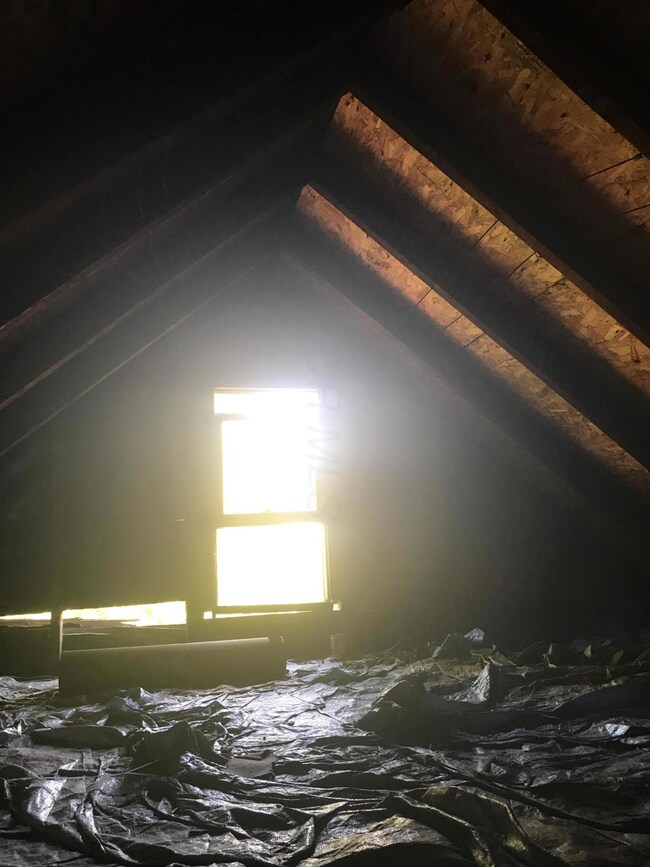 Attic