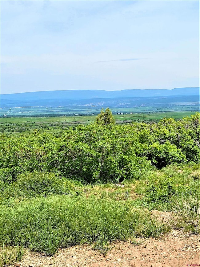 10 N Reserve Dr, Norwood, CO 81423 - photo 3