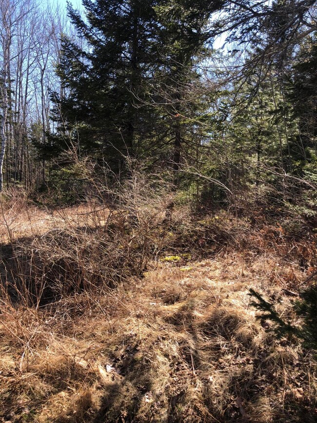 748 Spruce Head Rd, Spruce Head, ME 04859 - photo 6