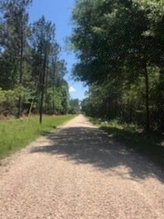 Looking down Birdie Street towards Bobby Jones standing in front of Lot 3.