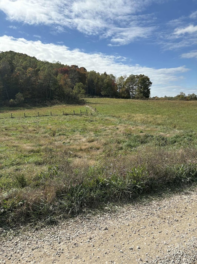 Pine Grove Ch Rd, Vanceburg, KY 41179 - photo 4