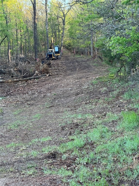 Clearing the 60 foot Easement  for Egress & Ingres