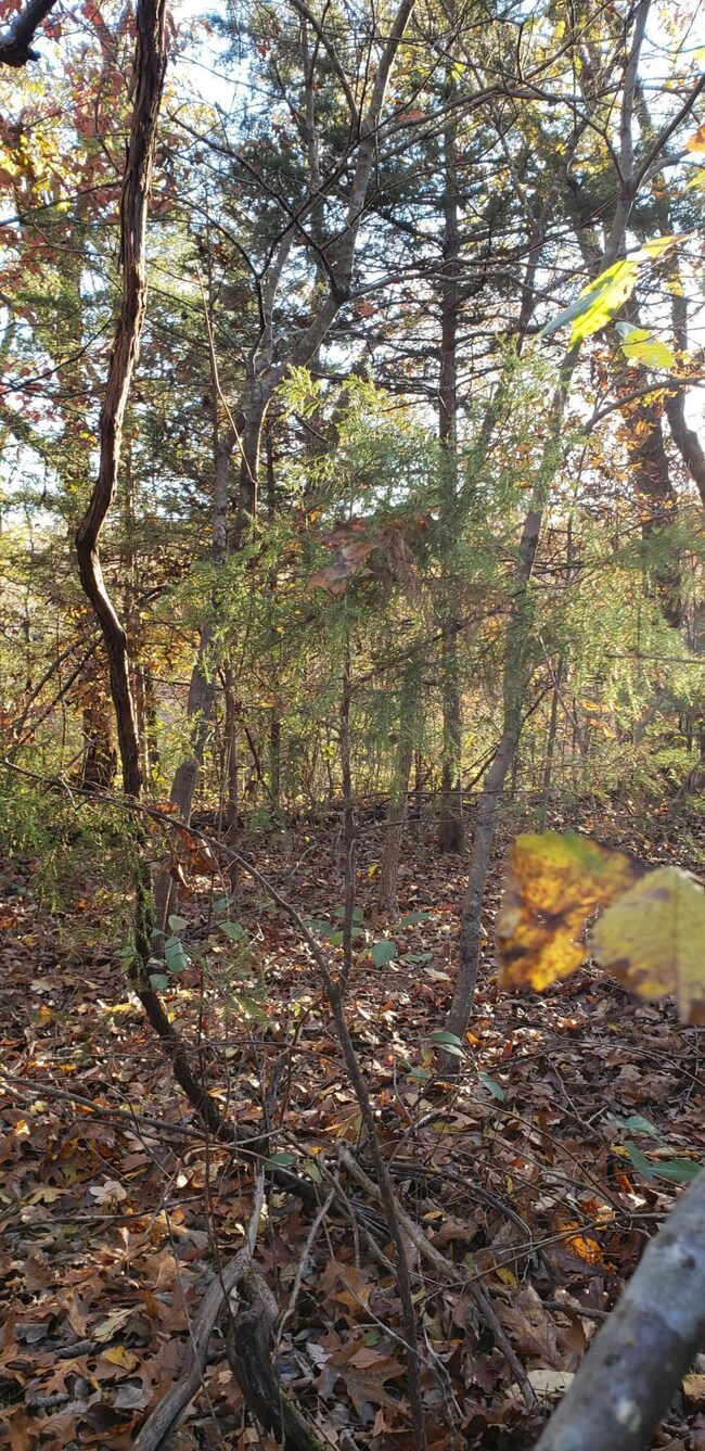 Table Rock Lake