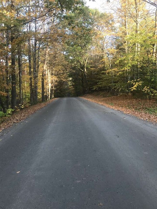 00-B Pinneo Hill Rd, Hanover, NH 03755 - photo 4