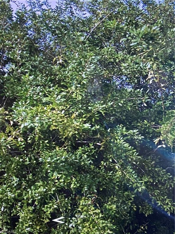 View of undeveloped land