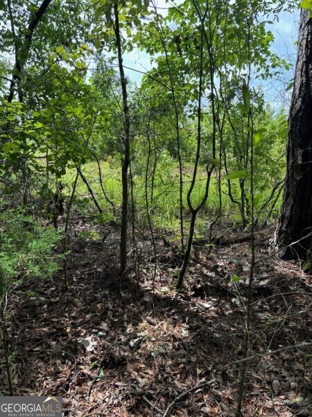 0 Chappell Mill Rd unit 10576810, Milner, GA 30257 - photo 5