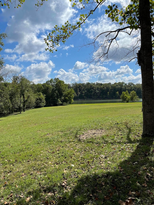 441 Cane Cove Rd, Cape Fair, MO 65624 - photo 3