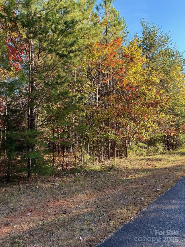 0 Cross Creek Dr unit 261 CAR4231323, Rutherfordton, NC 28139 - photo 7