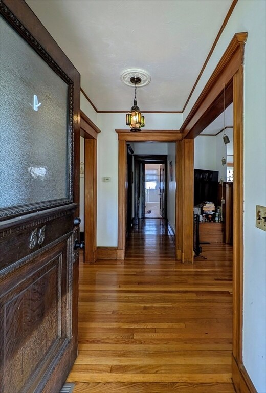 55 Lothrop St unit 55, Newton, MA 02458 - photo 4